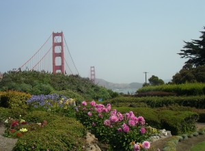 Flowers by the Golden Gate Bridge-San Francisco | Marsha J Black