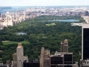 Overlooking Central Park, New York | Marsha J Black