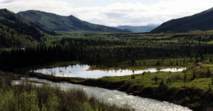 Photo of using Nature's Lines and Angles in image of Moose Creek in Denali National Park, Alaska with a path curving into a pond with the angled hills and mountains in the background | Marsha J Black