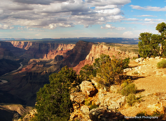 Photo of the Grand Canyon looking like pure gold in the sunlight | Photo: Marsha J Black