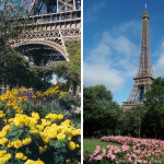 Eiffel Tower Paris Then (2006-yellow flowers) and Now (2018-pink flowers up the side) | Photos: Marsha Black | Photography Tips for the Accidental Photographer: Define Your Subject. Then Enhance It. | Marsha Black - Visual Travels®