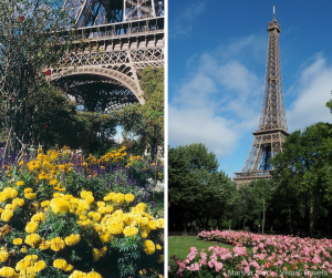 Eiffel Tower Paris Then (2006-yellow flowers) and Now (2018-pink flowers up the side) | Photos: Marsha Black | Photography Tips for the Accidental Photographer: Define Your Subject. Then Enhance It. | Marsha Black - Visual Travels®